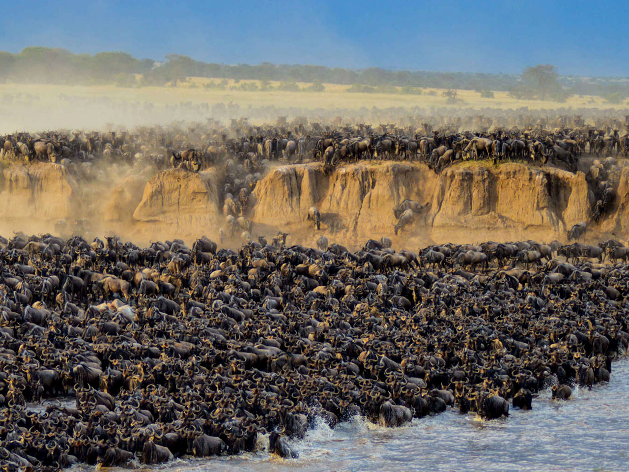 7-days-tanzania-wildebeest-migration-safari