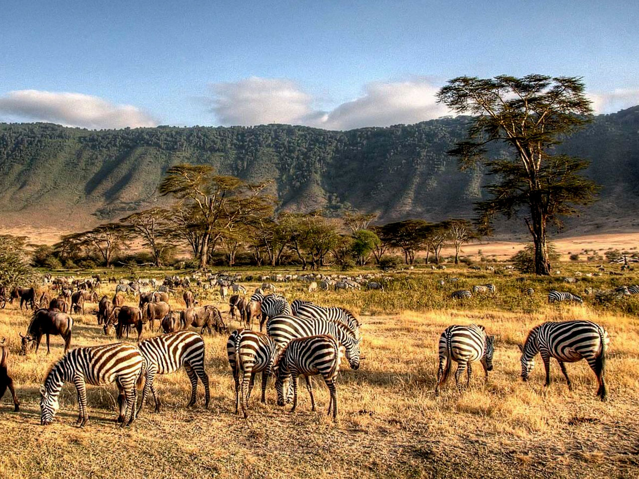 9-days-tanzania-safari-materuni-eyasi-cultural-experience